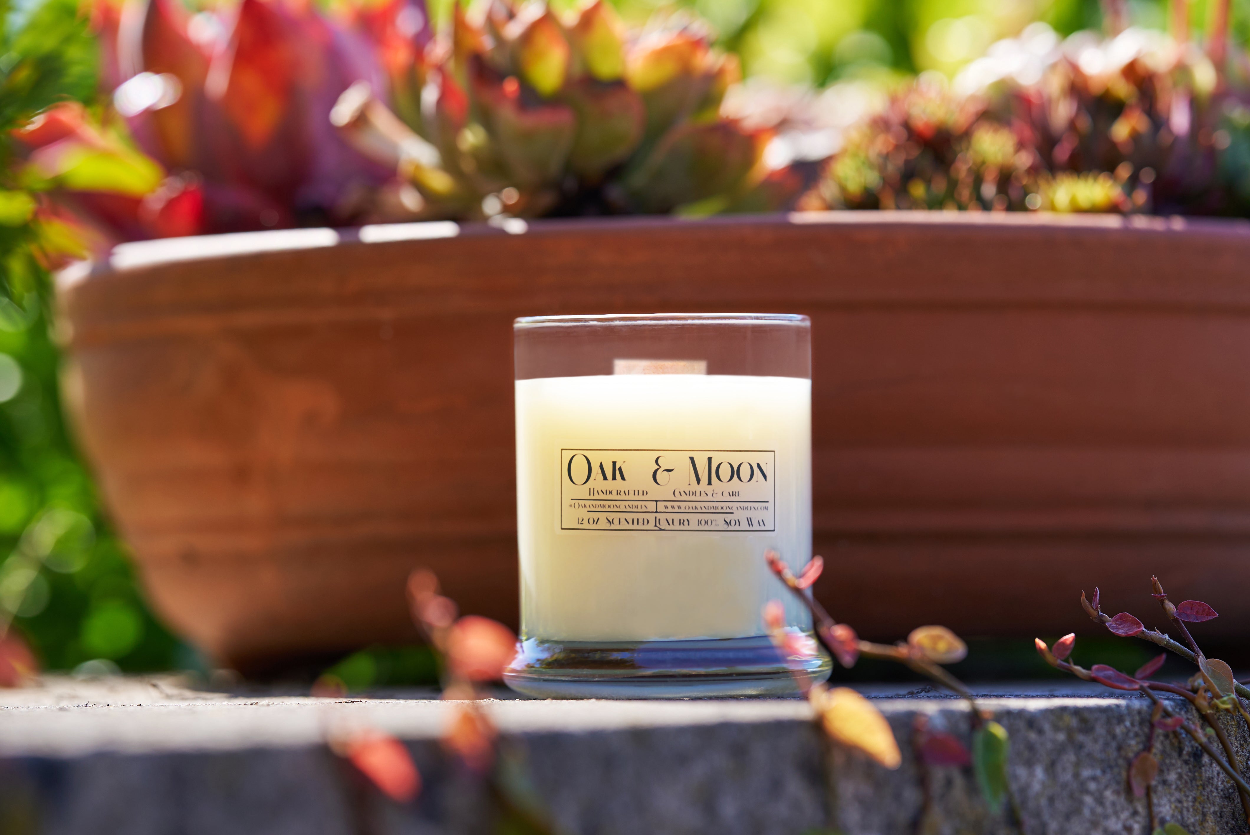 Dsc06688 d3958fa2 bd76 426d 9d26 6ce63528e27b